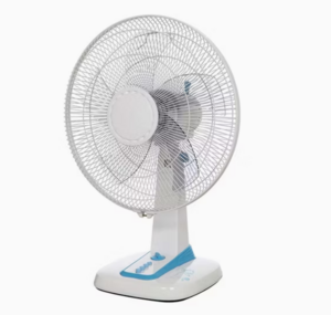 2906